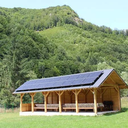 Laica, Romania Petrila