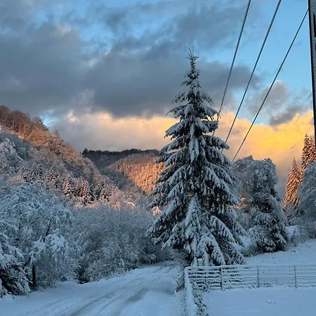 Laica, Romania Case de vacanță *