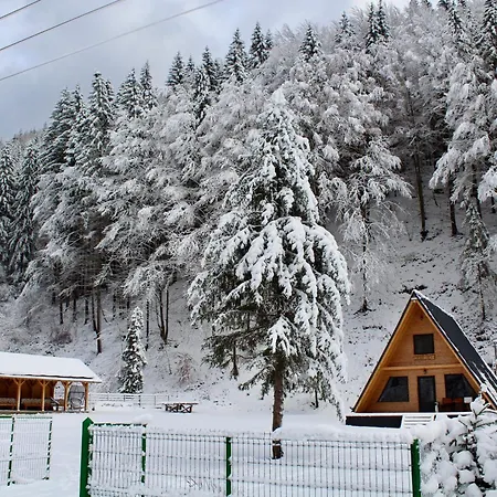 Laica, Romania * Petrila